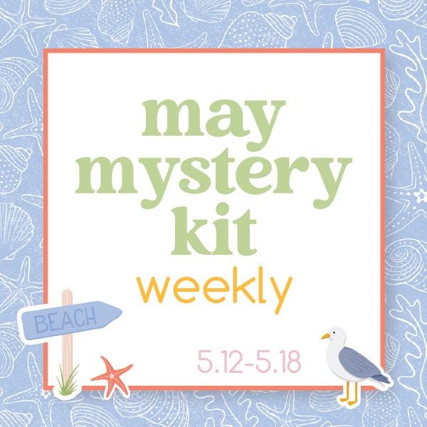 Summer Beach Mystery Kit | Weekly Sticker Kit for Vertical Planners like Erin Condren | Beach Combing | KIT-MK38-A