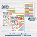 Flamingos Kit | Journaling Kit Planner Stickers | Flamboyance | KIT-400-D