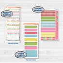 Flamingos Kit | 7x9 Erin Condren Daily Duo Planner Kit Stickers | Flamboyance | KIT-400-M