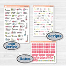 Flamingos Kit | Weekly Add-On Planner Kit Stickers | Flamboyance | KIT-400-B