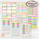 Flamingos Kit | Weekly Add-On Labels Planner Kit Stickers | Flamboyance | KIT-400-C