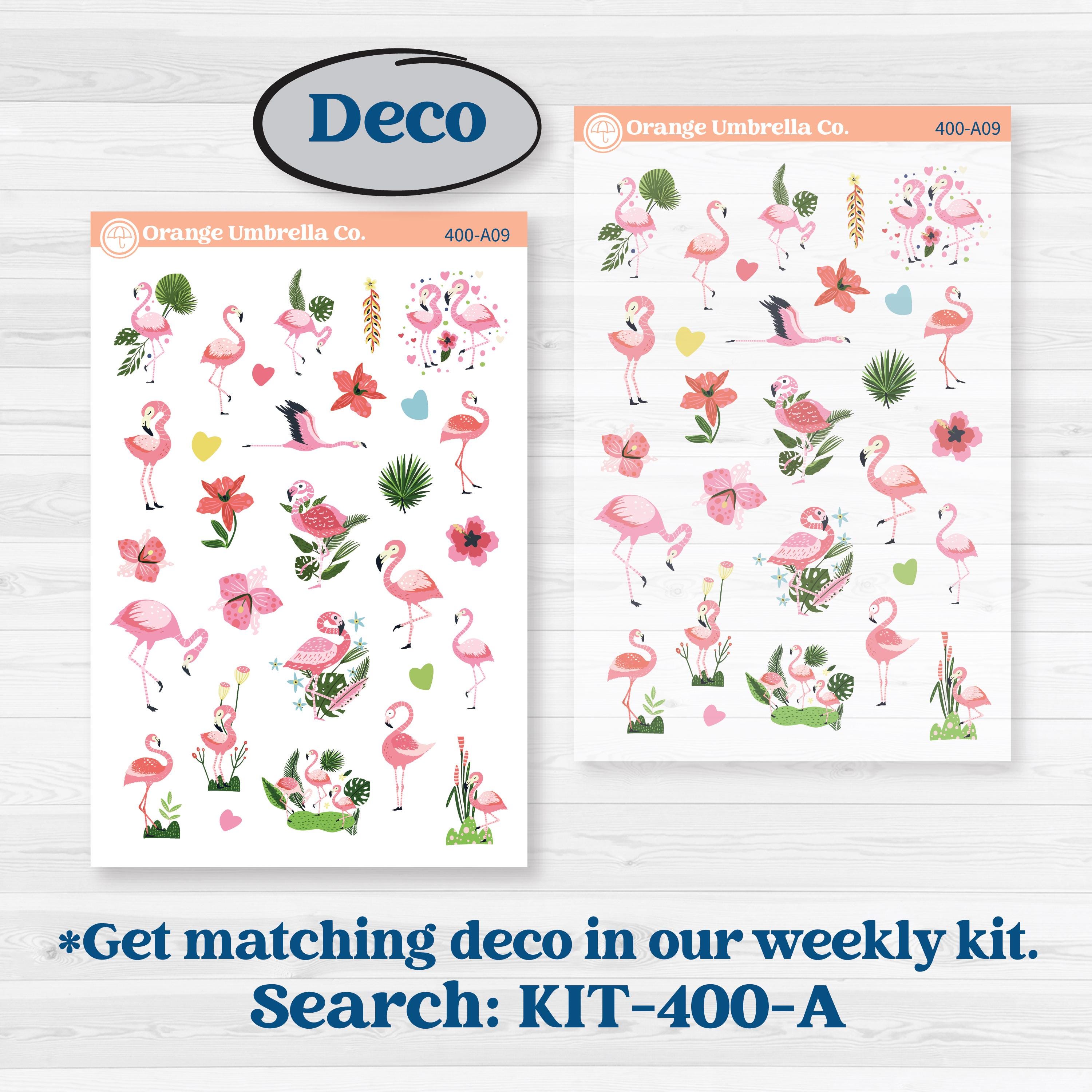 Flamingos Kit | Freestyle Kit Any Planner Kit Stickers | Flamboyance | KIT-400-K