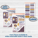 Ice Cream Celestial Kit | Journaling Kit Planner Stickers | Scoops of Jupiter | KIT-402-D