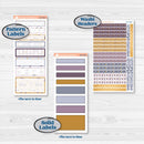 Ice Cream Celestial Kit | 7x9 Erin Condren Daily Duo Planner Kit Stickers | Scoops of Jupiter | KIT-402-M