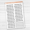 Dates of the Month 2026 | January-June Planner Stickers | F18 Clear Matte | B-244-249-BCM