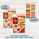 Colorful Autumn Stickers | Journaling Kit Planner Stickers | Vivid | KIT-407-D