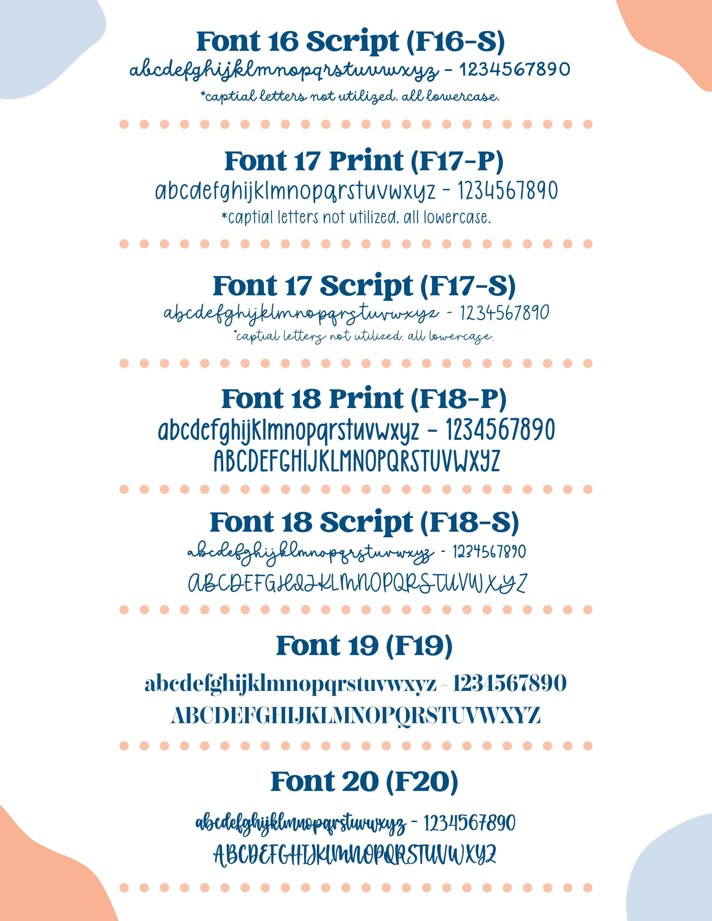 Mini Sheet Custom Scripts | New Fonts Clear Matte Planner Stickers | 1 word/phrase per sheet | custommini-cm