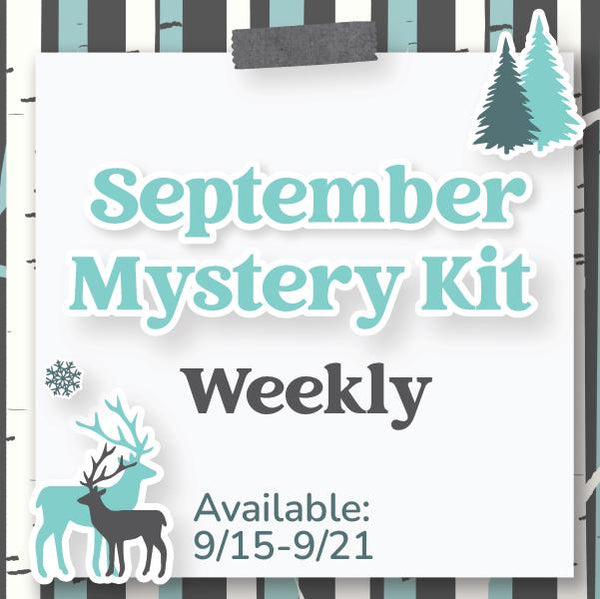September Mystery Kit | Weekly Sticker Kit for Vertical Planners like Erin Condren | Winter Retreat | KIT-MK42-A