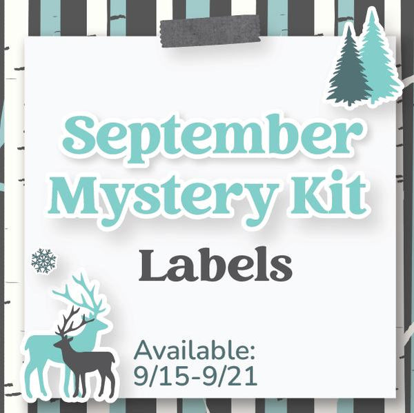 September Mystery Kit | Weekly Add-On Labels Planner Kit Stickers | Winter Retreat | KIT-MK42-C