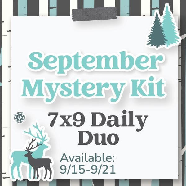 September Mystery Kit | 7x9 Erin Condren Daily Duo Planner Kit Stickers | Winter Retreat | KIT-MK42-M