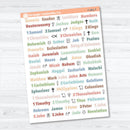 Mini Books of the Bible | Faith Based Planner or Bible Journaling Stickers | F-001