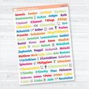 Medium Books of the Bible | Bible Journaling or Planner Stickers | Faith Based Stickers | F-002-CM