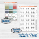 Winter Snowflake Kit | Hobonichi Weeks Weekly Planner Kit Stickers | Snow Problem | KIT-501-F