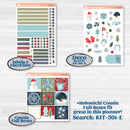 Winter Snowflake Kit | Erin Condren Weekly Dashboard Planner Kit Stickers | Snow Problem | KIT-501-G