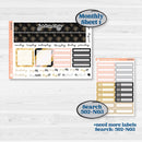 New Year’s Day Kit | 7x9 Plum Monthly & Dashboard Planner Kit Stickers | All That Glitters | KIT-502-Q