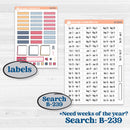 Cheerful Floral Kit | Hobonichi Weeks Weekly Planner Kit Stickers | Beatriz | KIT-505-F