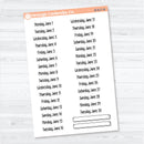2026 Dates of the Month Planner Stickers | F18 Print | January–June | B-812–817-B