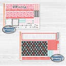 Sweet Valentine Florals | A5 Erin Condren Monthly & Productivity Dashboard Sticker Kit | Call Me Sweetheart | KIT-507-M