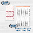 Valentine Book Kit | Journaling or Scrapbooking Kit | Creative Junk Journal Planner Stickers | Romance | KIT-509-D