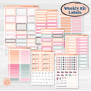 Soft Pink Florals | Weekly Add-On Labels Planner Kit Stickers | I Pick You | KIT-510-C
