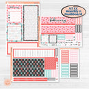 Sweet Valentine Florals | A5 Erin Condren Monthly & Productivity Dashboard Sticker Kit | Call Me Sweetheart | KIT-507-M