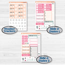Soft Pink Florals | Hobonichi Cousin Weekly & Daily Planner Kit Stickers | I Pick You | KIT-510-E