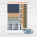 Woodland Birthday Celebration Stickers | Erin Condren Weekly Dashboard Planner Kit Stickers | Confetti | KIT-511-G