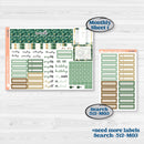 St. Patrick’s Day | A5 Plum Monthly & Dashboard Planner Kit Stickers | Emerald Isle | KIT-512-P