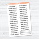 2026 Dates of the Month Stickers | F18 | Planner Stickers | B-818–823-B