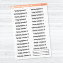 2026 Dates of the Month Stickers | F18 | Clear Matte Planner Stickers | B-818–823-BCM