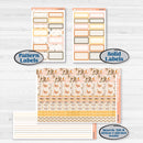 Spring Birds | Hobonichi Cousin Weekly & Daily Planner Kit Stickers | Nectar | KIT-516-E