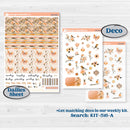 Spring Birds | Hobonichi Cousin Weekly & Daily Planner Kit Stickers | Nectar | KIT-516-E