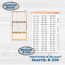 Playful Easter Bunnies | Journaling or Scrapbooking Kit | Creative Junk Journal Planner Stickers | Bunny Hop | KIT-520-D