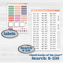 Bright Florals | Hobonichi Weeks Weekly Planner Kit Stickers | Bitty Blooms | KIT-519-F