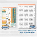 Summer Road Trip | Hobonichi Cousin Weekly & Daily Planner Kit Stickers | Road Less Traveled | KIT-524-E