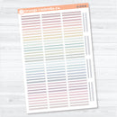 Squiggle Divider Planner Stickers | Deco Planner Labels | D-379