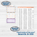 Cinco De Mayo Kit | Journaling or Scrapbooking Kit | Creative Junk Journal Planner Stickers | Señor Chili | KIT-526-D