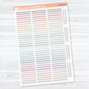 Squiggle Divider Clear Matte Planner Stickers | Deco Planner Labels | D-379-CM
