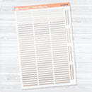 Squiggle Divider Clear Matte Planner Stickers | Deco Planner Labels | D-379-CM