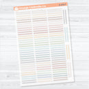 Squiggle Divider Clear Matte Planner Stickers | Deco Planner Labels | D-379-CM