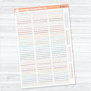 Squiggle Border Divider Clear Matte Planner Stickers | Decorative Planner Stickers | D-381-CM