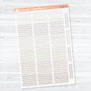 Squiggle Border Divider Clear Matte Planner Stickers | Decorative Planner Stickers | D-381-CM