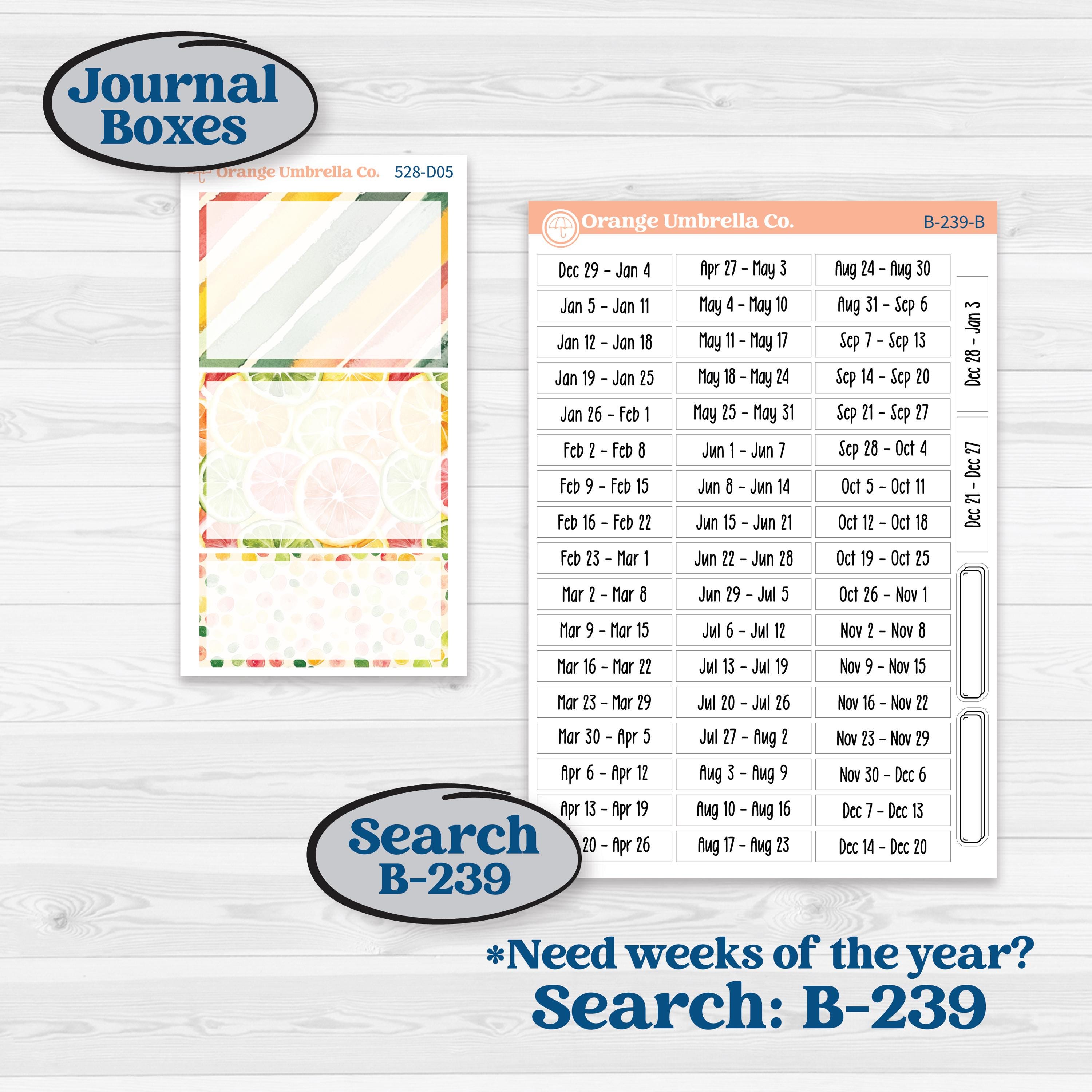 Bright Fruit Stickers | Journaling or Scrapbooking Kit | Creative Junk Journal Planner Stickers | Burst | KIT-528-D