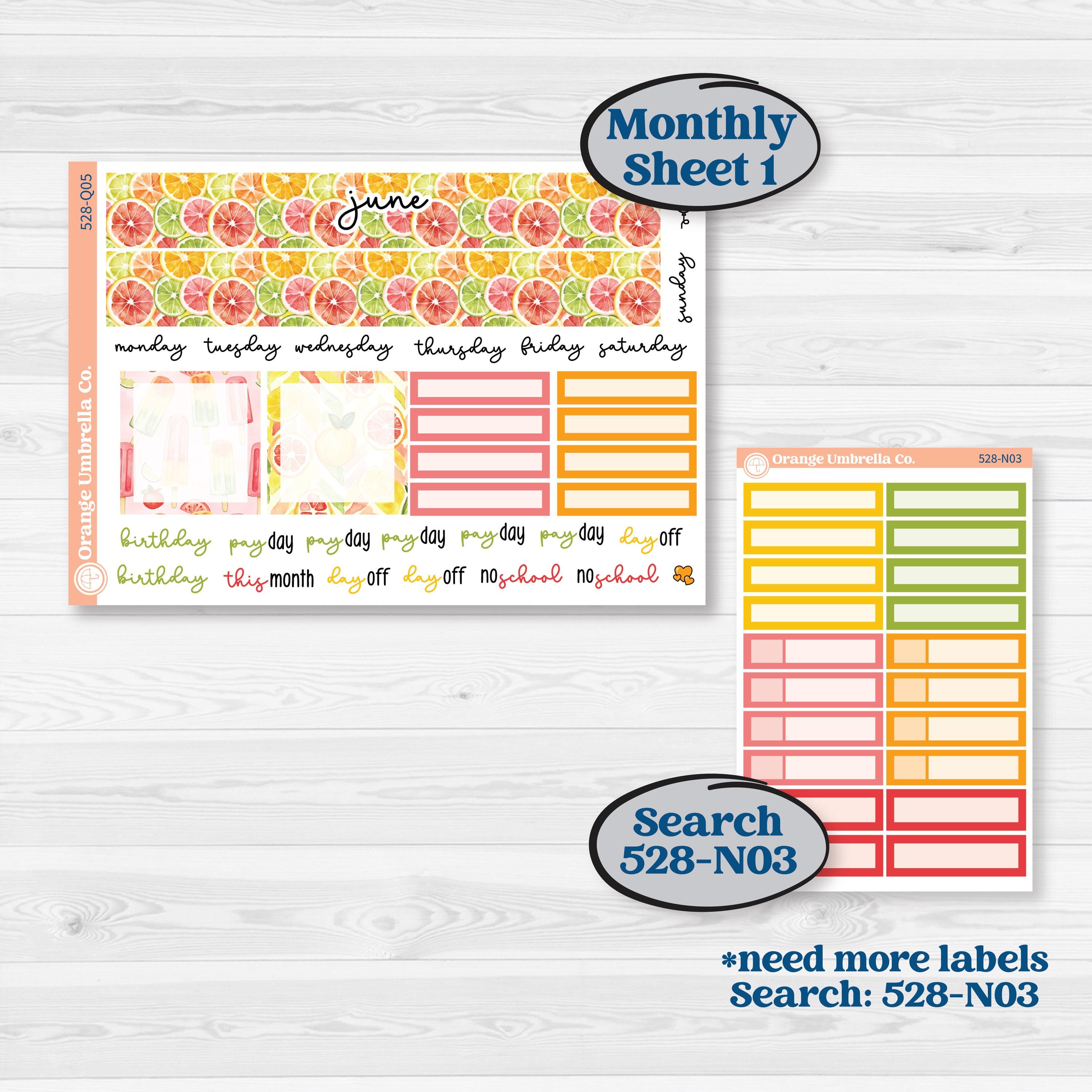 Bright Fruit Stickers | 7x9 Plum Monthly & Dashboard Planner Kit Stickers | Burst | KIT-528-Q