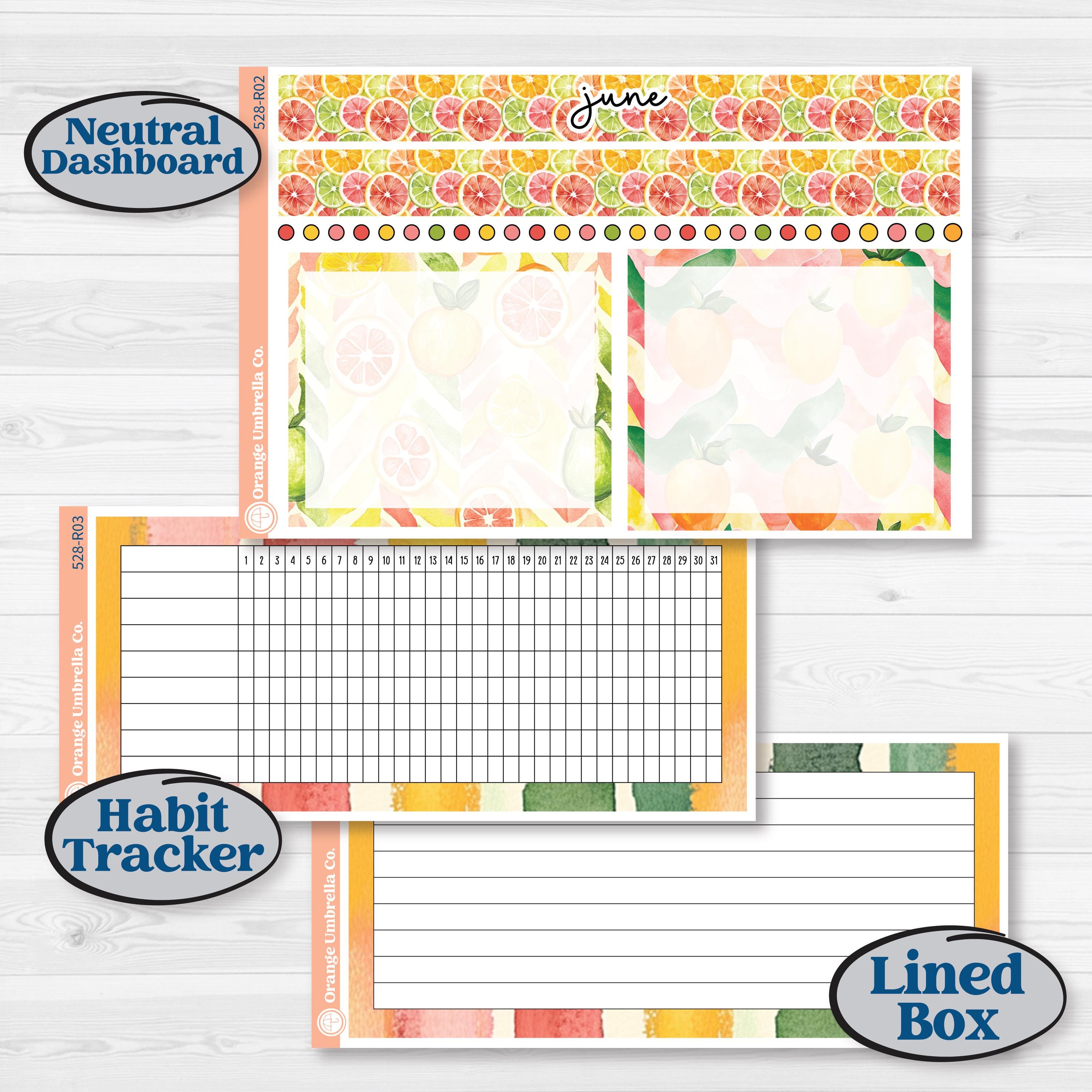 Bright Fruit Stickers | 8.5x11 Plum Monthly & Dashboard Planner Kit Stickers | Burst | KIT-528-R