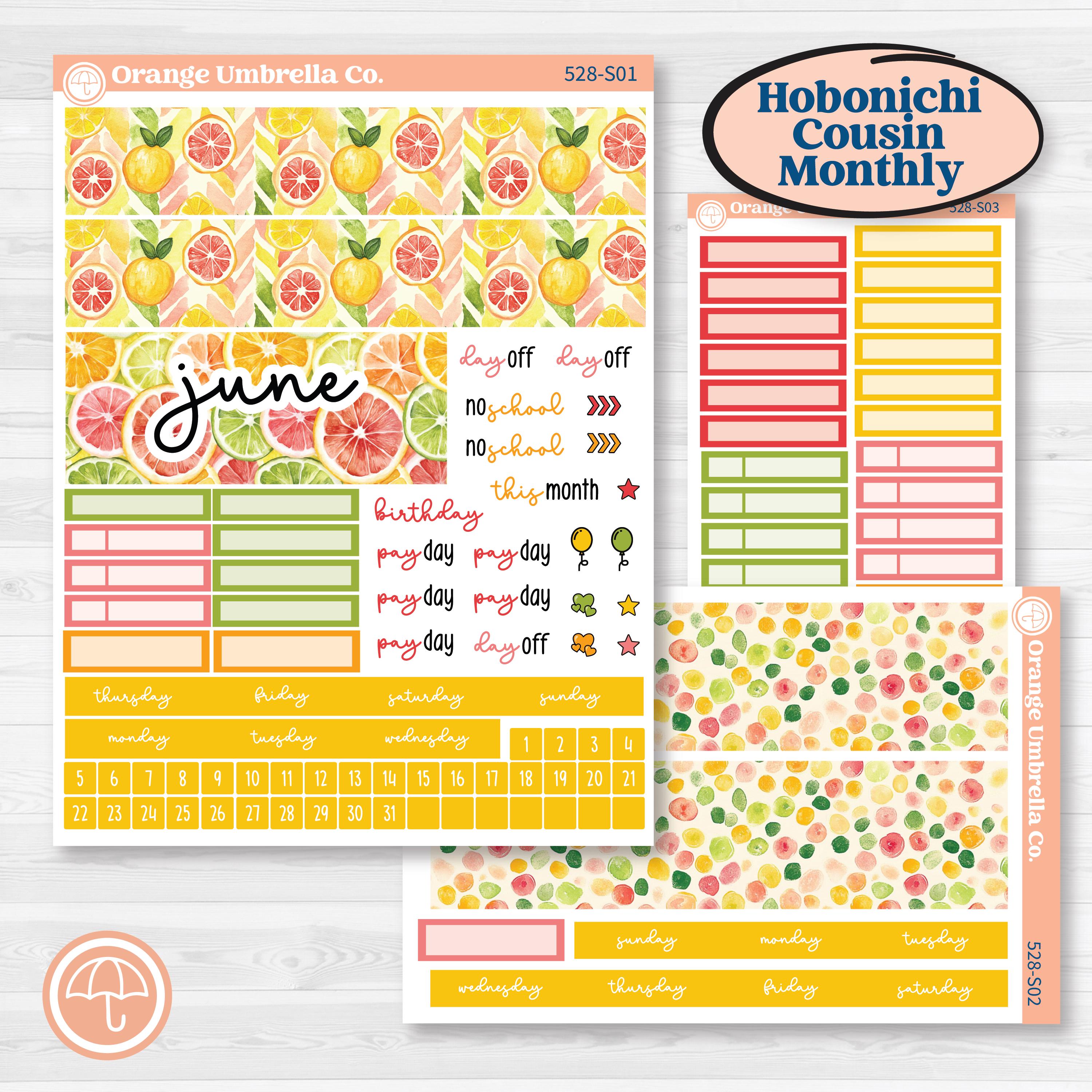 Bright Fruit Stickers | Hobonichi Cousin Monthly Planner Kit Stickers | Burst | KIT-528-S