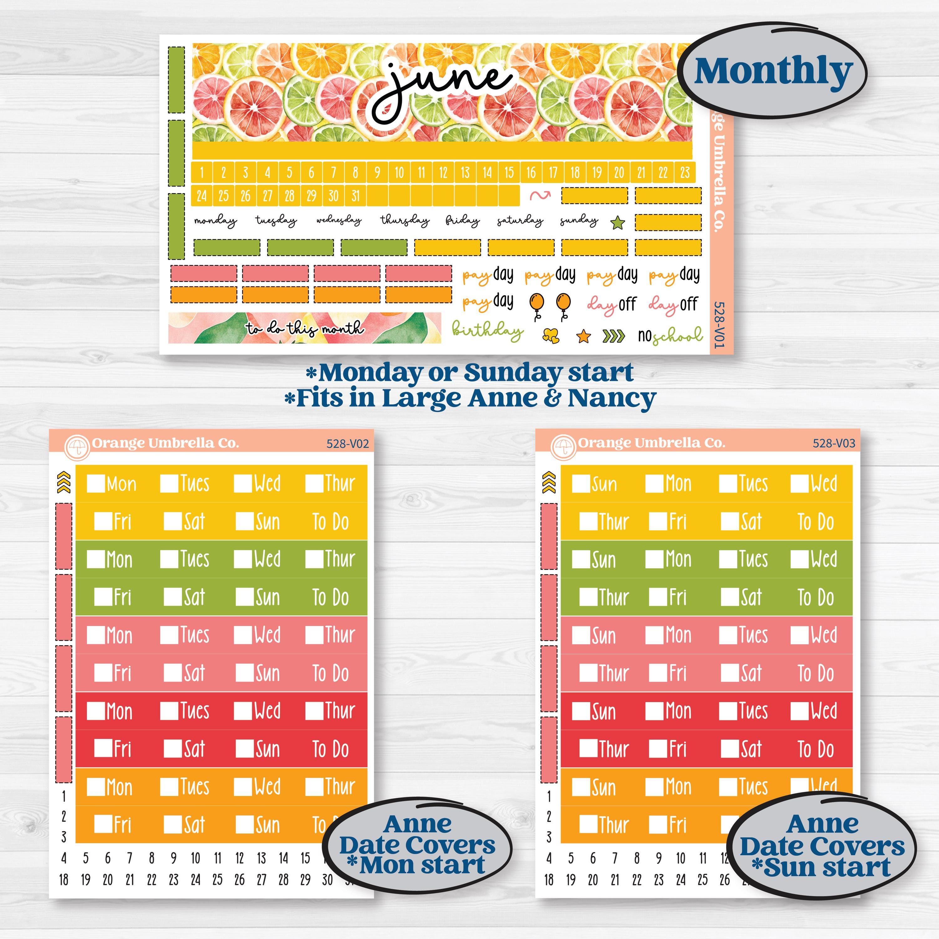 Bright Fruit Stickers | Laurel Denise Nancy Large & Anne Large Planner Kit Stickers | Burst | KIT-528-V