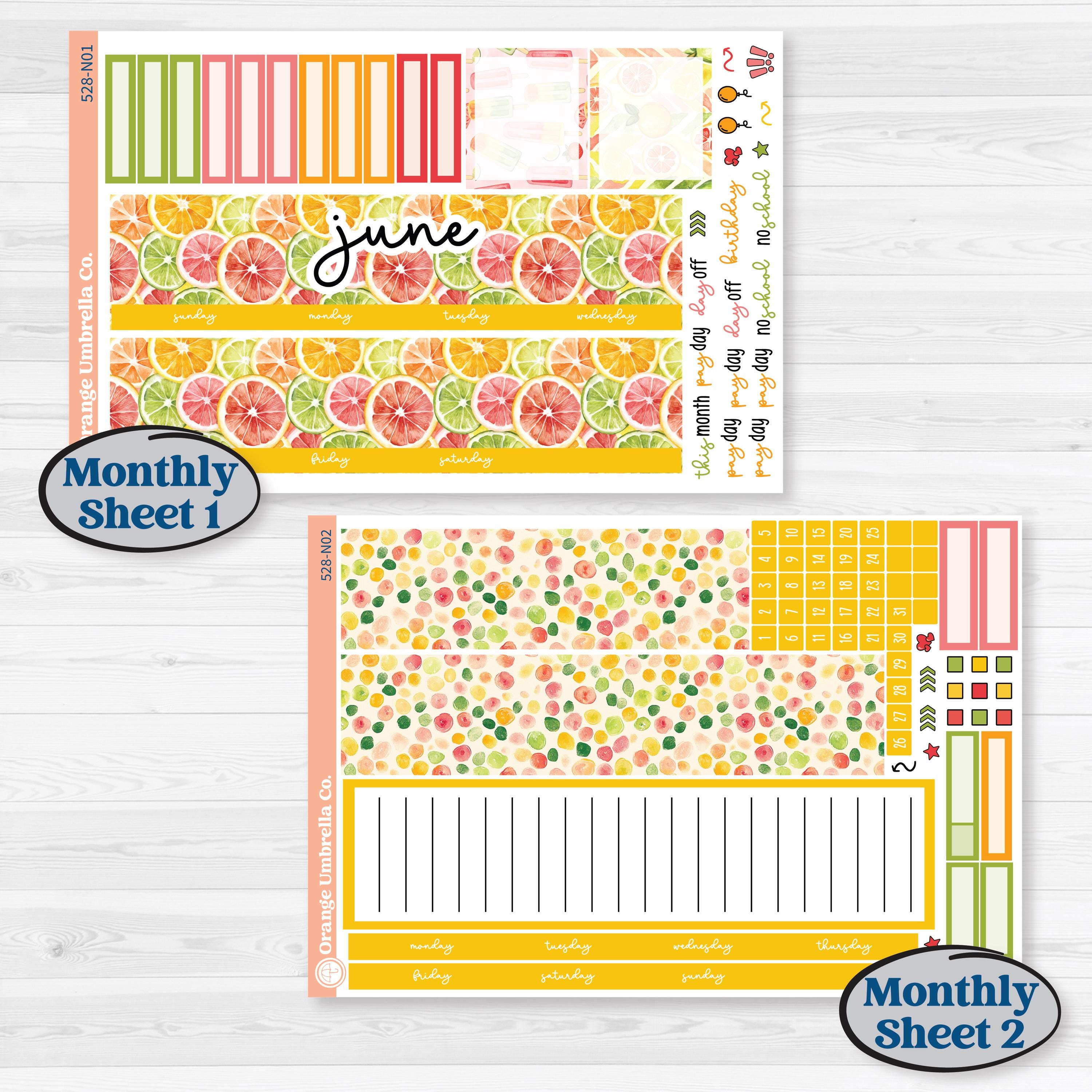 Bright Fruit Stickers | 7x9 Erin Condren Life Planner Monthly & Dashboard Sticker Kit | Burst | KIT-528-N