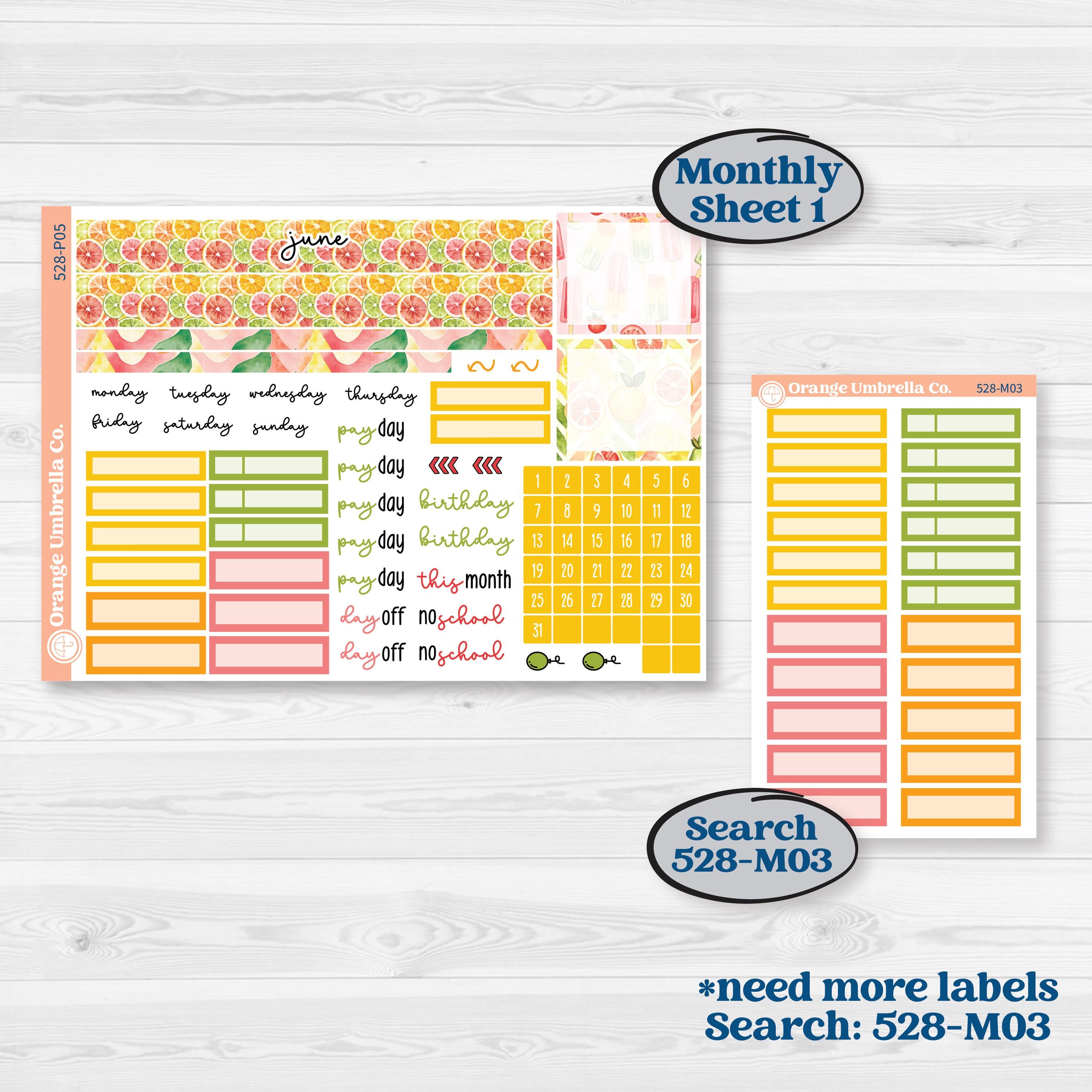 Bright Fruit Stickers | A5 Plum Monthly & Dashboard Planner Kit Stickers | Burst | KIT-528-P