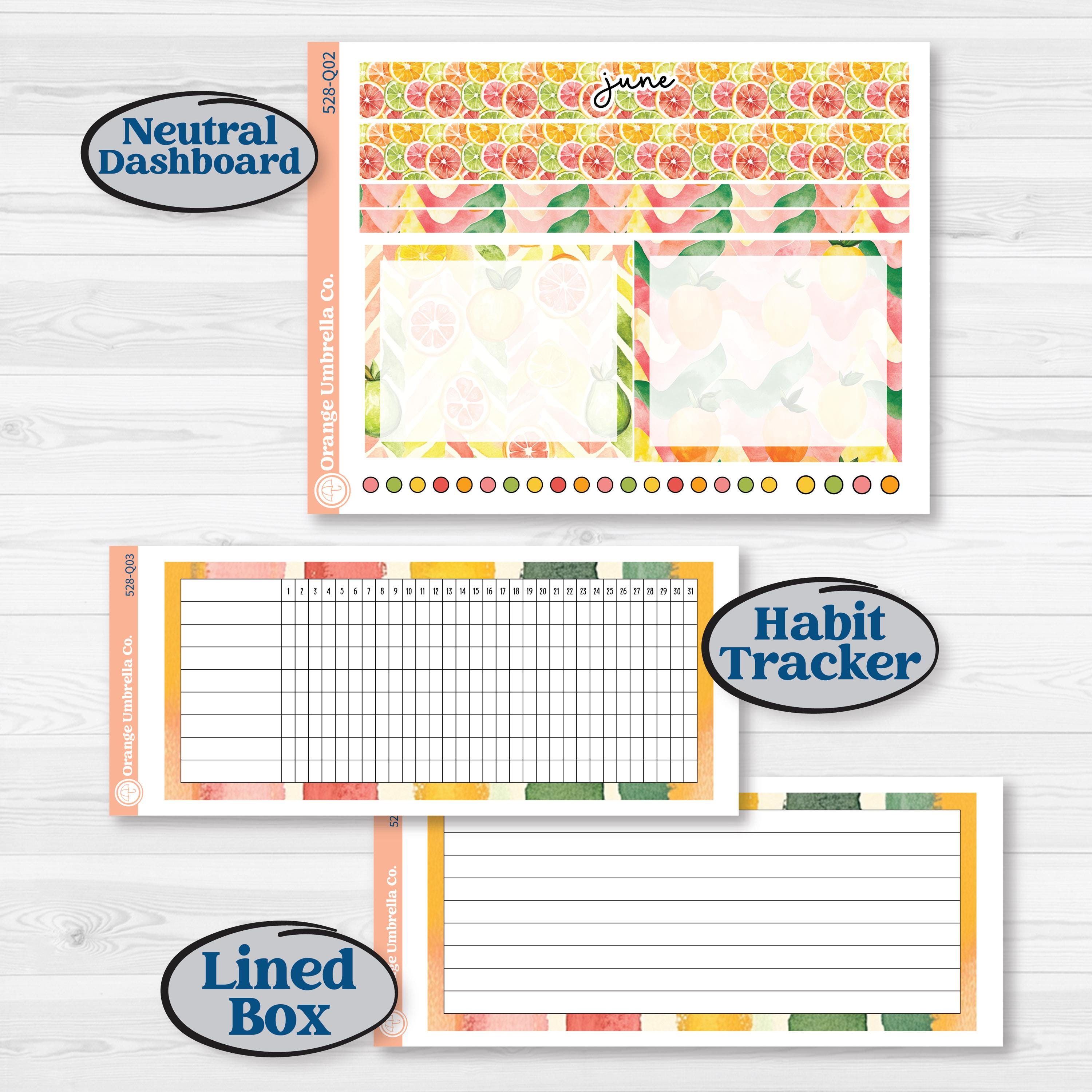 Bright Fruit Stickers | 7x9 Plum Monthly & Dashboard Planner Kit Stickers | Burst | KIT-528-Q